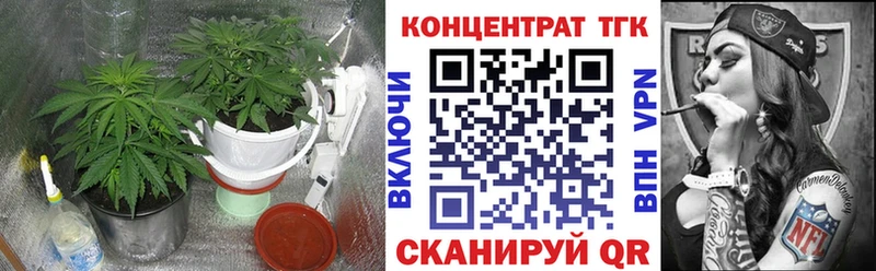 OMG ссылки  Новоалександровск  Дистиллят ТГК THC oil  что такое  